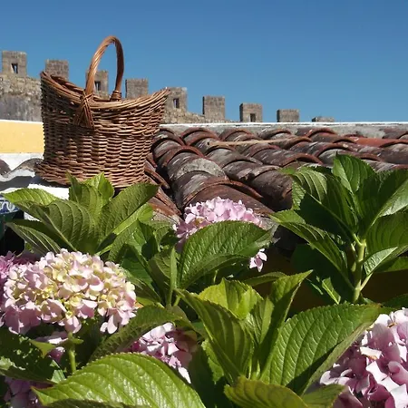 Casa Com Jardim Dentro Da Muralha De Ferienhaus Óbidos